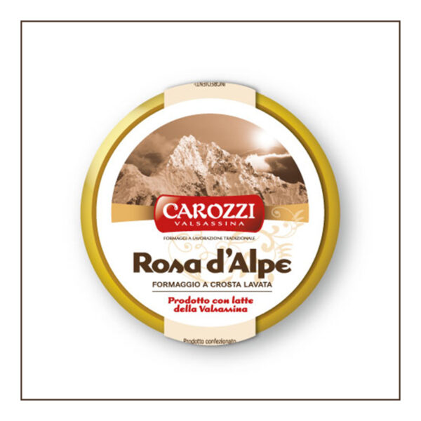 rosa d'alpe